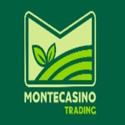 Montecasino